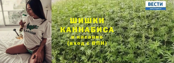прущие грибы Каменка