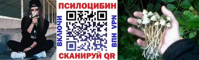 omg рабочий сайт Бабушкин shop формула Псилоцибиновые грибы GOLDEN TEACHER